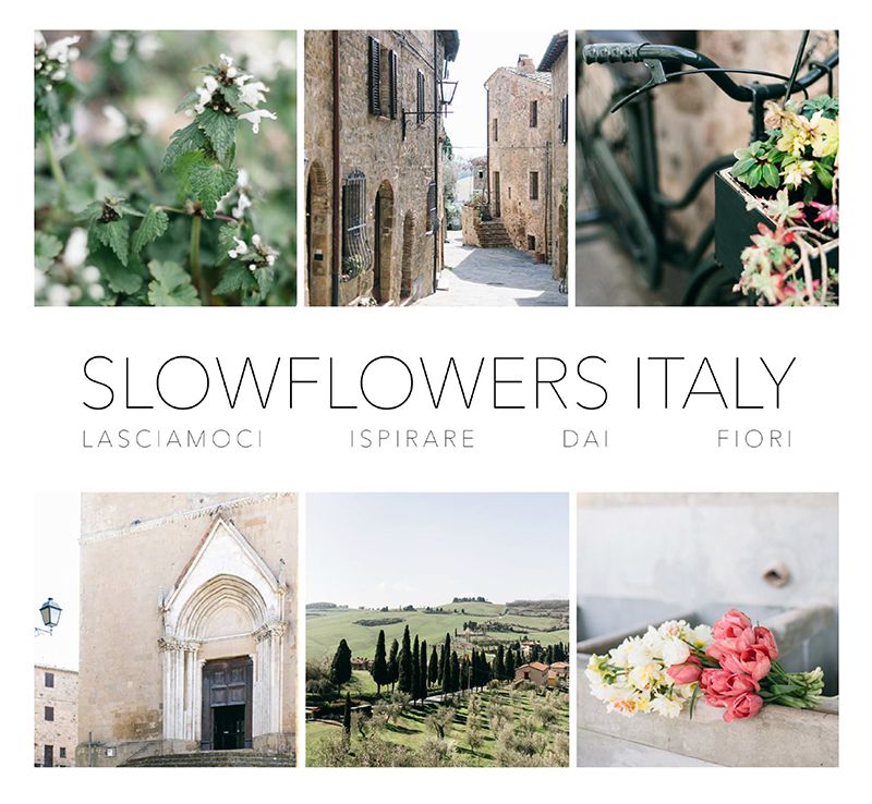 locandina-sfi-2018-piccola