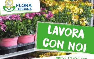 lavora-con-noi