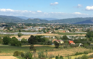 rilancio-del-distretto