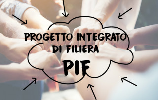 foto-newsletter-pif