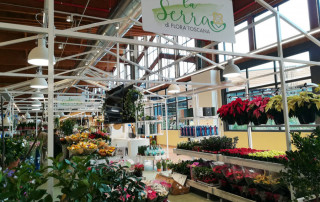 apertura-serra-Fico-Eataly-World