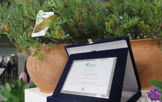 my-plant-1classificato-premio