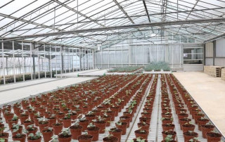 img-danni-per-un-miliardo