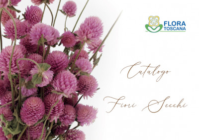 immagine-copertina-web-fiori-secchi