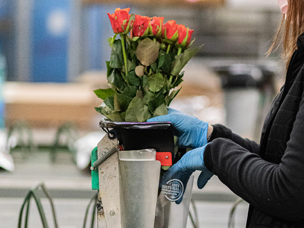 foto-linea-trasformazione2