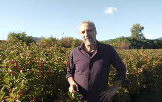 Ugo-Conforti-Flora Toscana