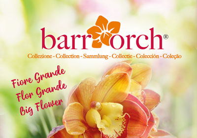 barrorch-file-foto-web