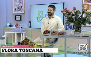Alessandro RTV38