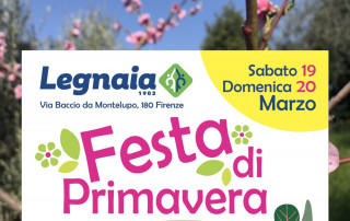 Festa della Primavera 3