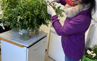 lecosflo-analisi3-flora-toscana