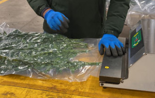 lecosflo-sottovuto-floratoscana