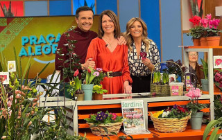 cymbidium-Barrorch-in tv-Praça da Alegria