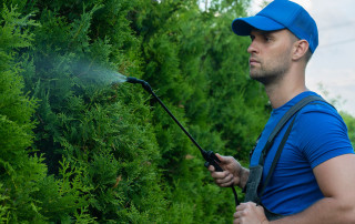 consigli-concimazione-fogliare-flora-toscana
