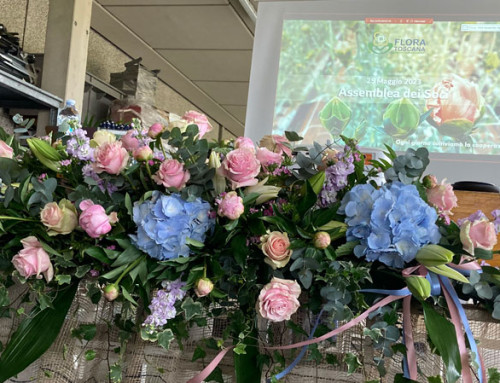 Comunicato Stampa Assemblea dei Soci