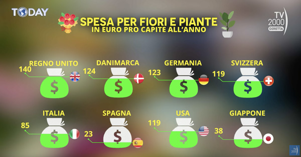 slide-tv-today-fiori-nel-mondo