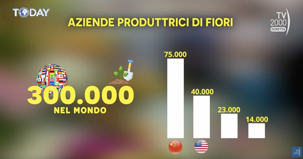 slide-tv-today-fiori-nel-mondo