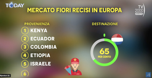 slide-tv-today-fiori-nel-mondo