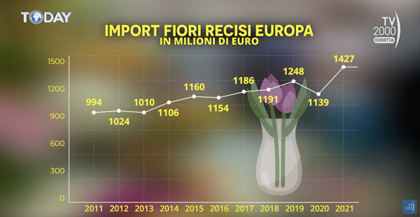 slide-tv-today-fiori-nel-mondo