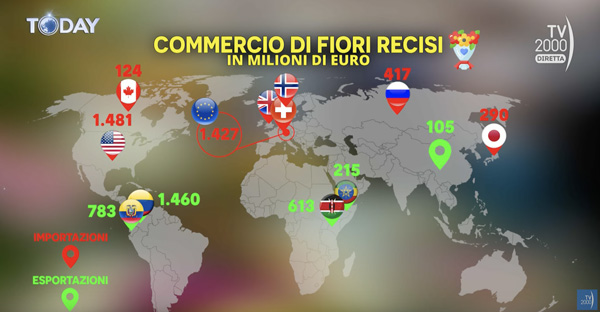slide-tv-today-fiori-nel-mondo