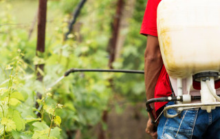 trattamento-agrofarmaci-copertina