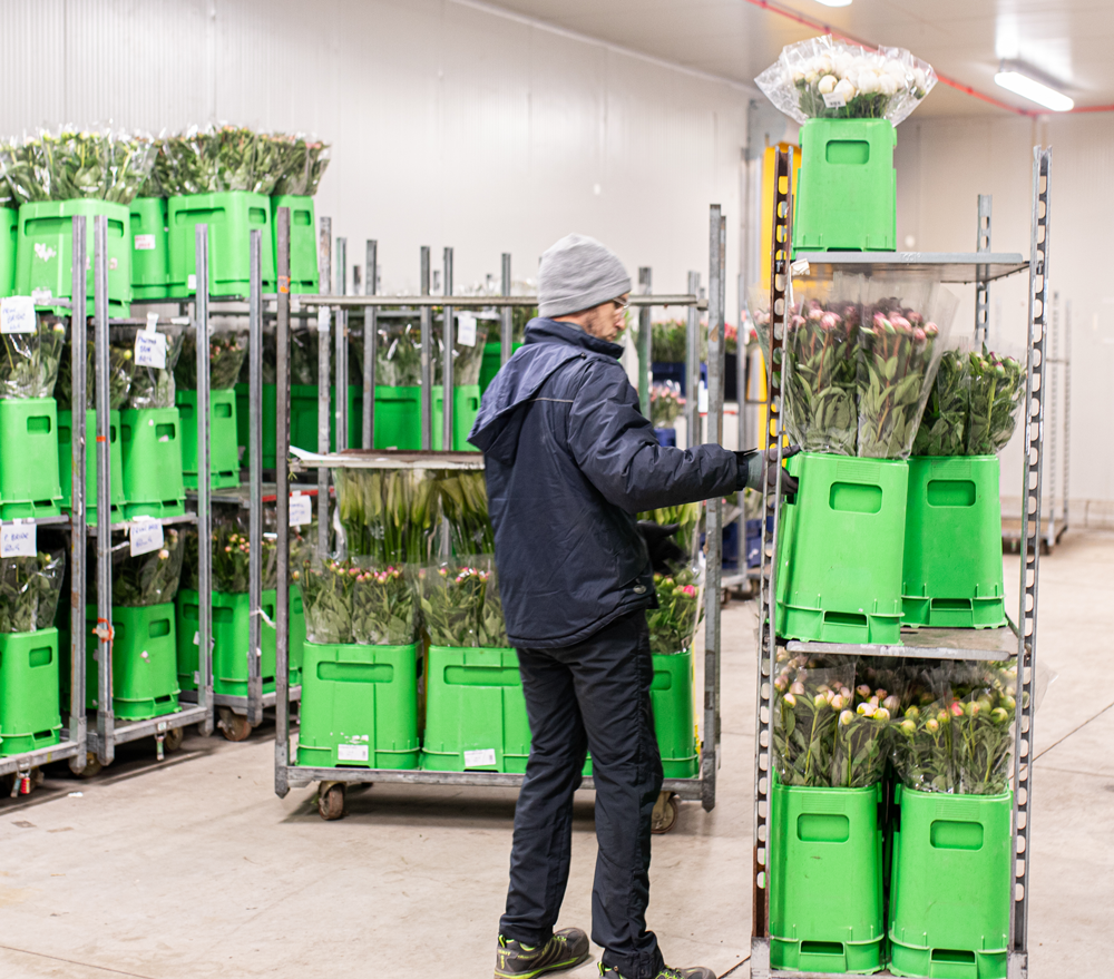 Ingrosso-Flora-Toscana