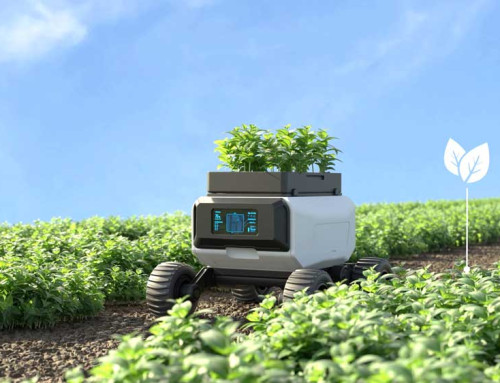 Intelligenza Artificiale in Agricoltura