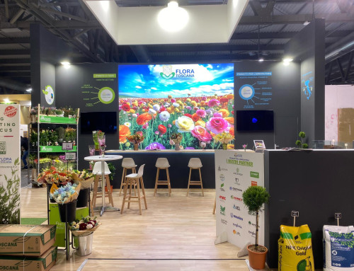 MYPLANT & GARDEN 2025